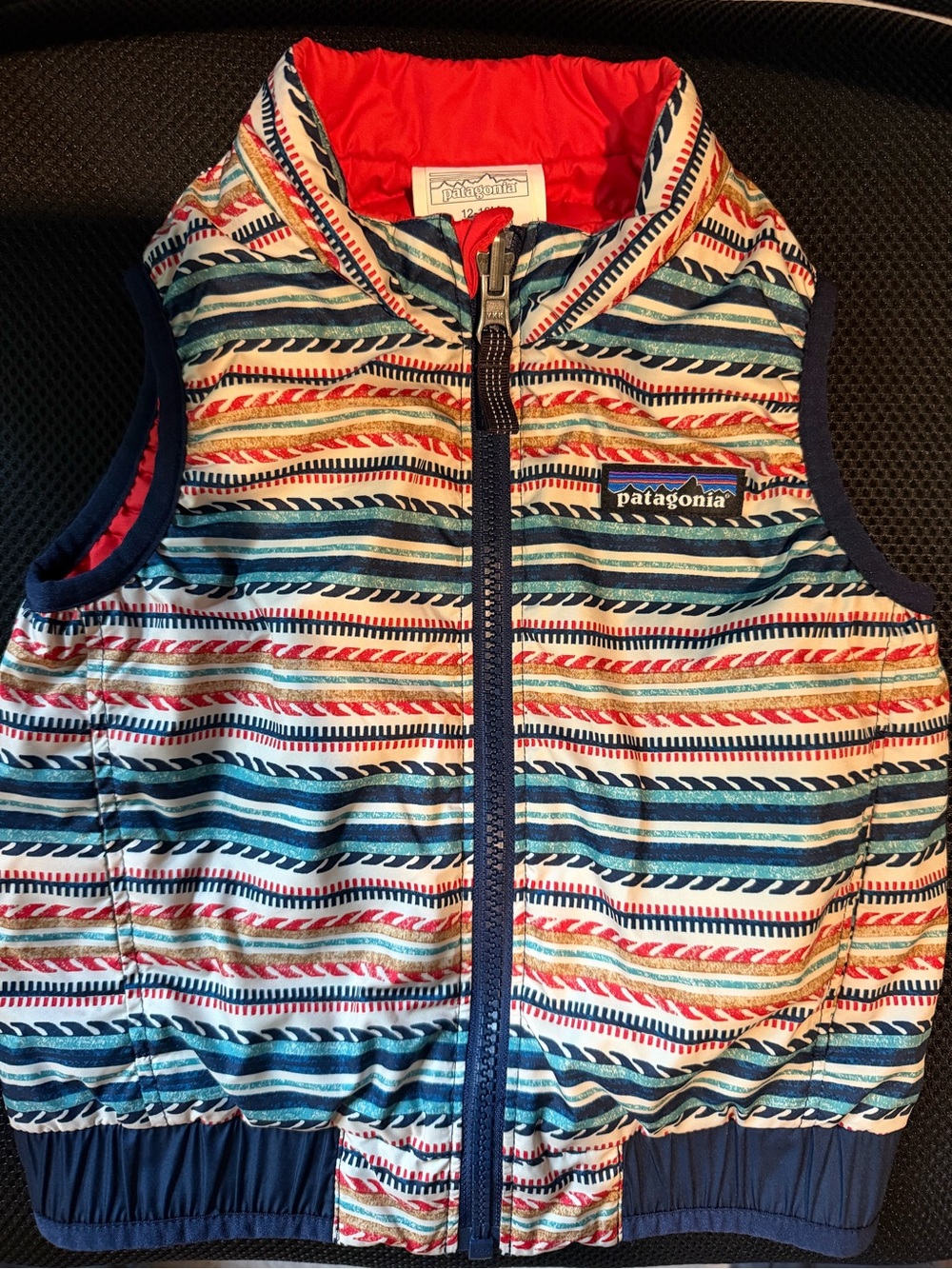 Patagonia Reversible Infant Vest